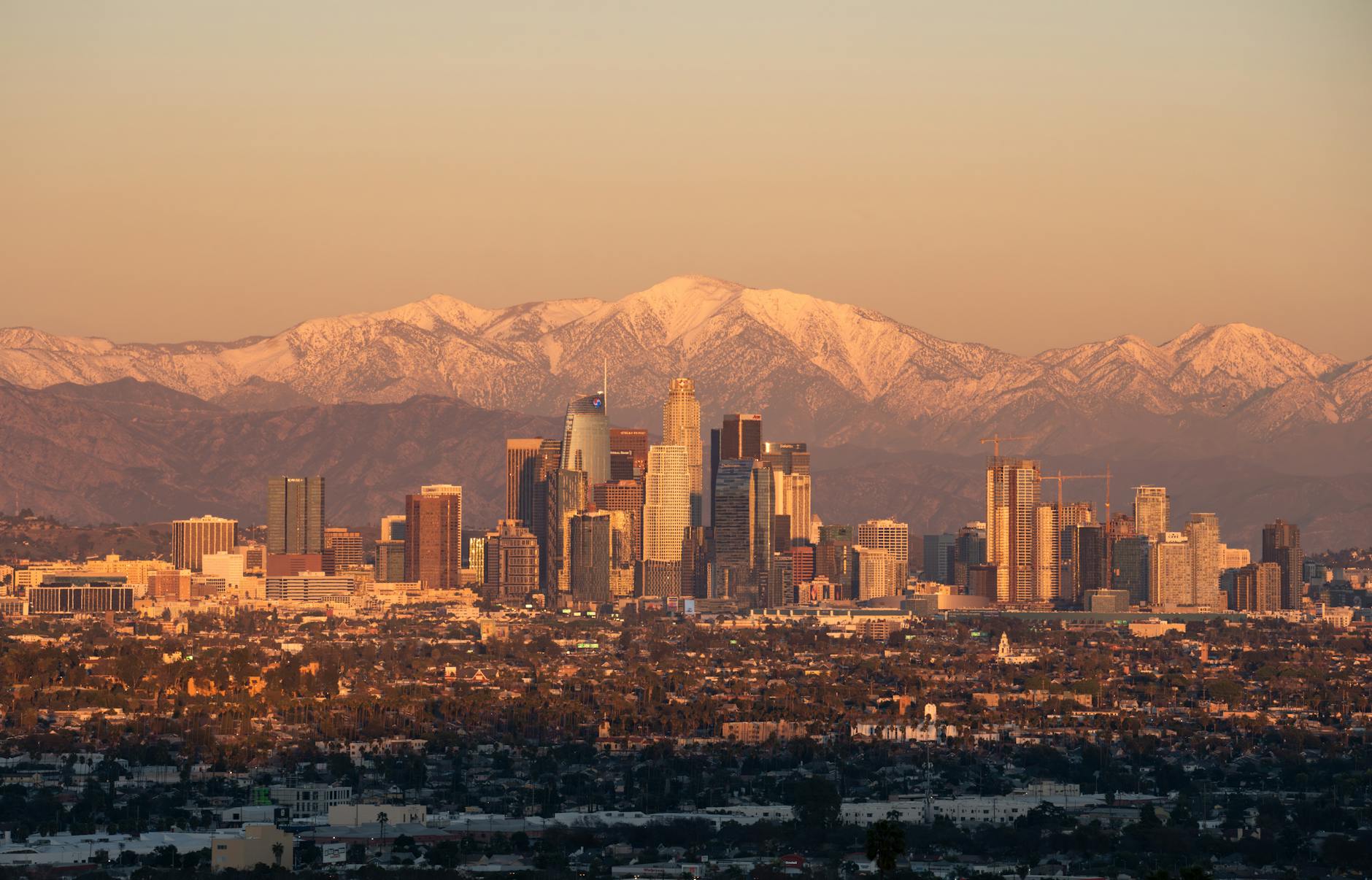 Local Movers in Los Angeles, CA | MoveCost.ai